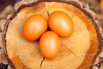 Natural chicken eggs on different backgrounds. Chicken eggs on a hemp, table, straw. The concept of food, diet, cooking.