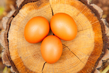 Natural chicken eggs on different backgrounds. Chicken eggs on a hemp, table, straw. The concept of food, diet, cooking.