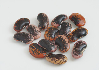 ムラサキハナマメ　白背景