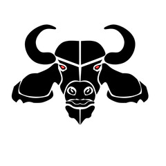 bull skull isolated on white