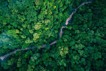 river flowing in the forest. Aerial view