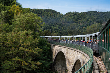 Fototapeta na wymiar Tourist steam train going on the old stone bridge inside the forest in french Ardeche region.