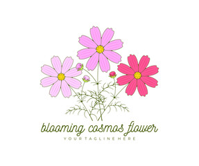 Blooming cosmos flower, kosmeya and cosmos, logo design. Nature, floral, bloom and floristry, vector design and illustration