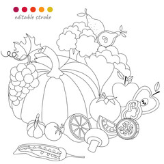 Still life with pumpkin, cabbage, fruits and vegetables. Autumn collection. Relaxation coloring template.