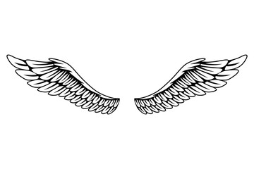 Vintage heraldic wings sketch. Monochrome stylized birds wings. Hand drawn contoured stiker wing in open position. Design elements in coloring style