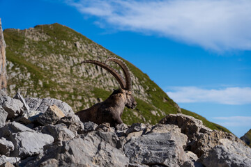 Wandern am Säntis in der Schweiz