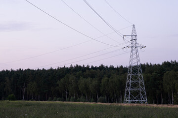 Power line near the forest