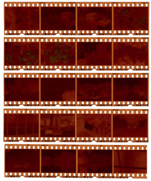 Color 35mm negative film strips