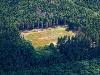 vue aérienne d'une forêt à Senonches dans l'Eure-et-Loir en France