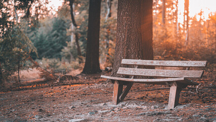 Sitzbank Parkbank im Wald mit romantischen Sonnenuntergang