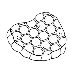 Obraz premium Hand drawn honeycomb isolated on a white background. Doodle, simple outline illustration. It can be used for decoration of textile, paper.