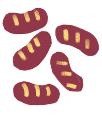 Sausage breakfast food set elements hand drawn doodle minimal style pastel color illustration