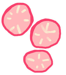 Radish sliced breakfast food set elements hand drawn doodle minimal style pastel color illustration