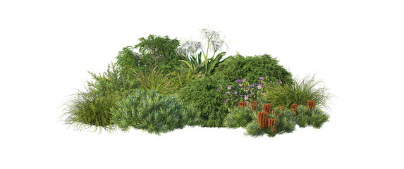 Shrubs and flower on a transparent background
