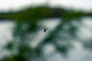 Exploring nature during a beautiful afternoon at Manly Dam 