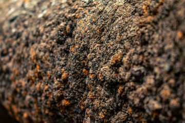 Exploring nature during a beautiful afternoon at Manly Dam 