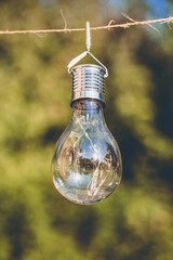 white lightbulb hanging on a line in the garden