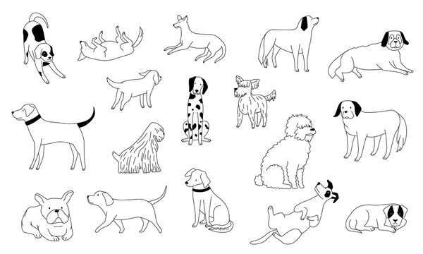 Cute doodle dog. Line black and white funny puppies, hand drawn pencil illustration, cartoon smiley pets walking sitting and playing. Vector set