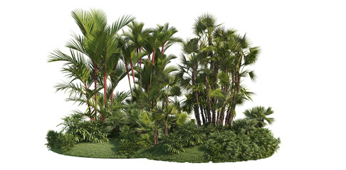 Palm garden on a transparent background
