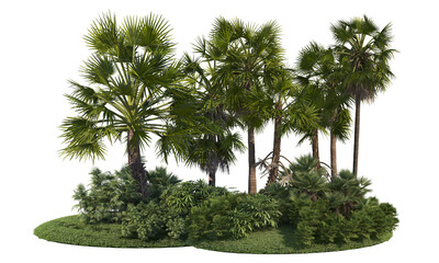 Palm garden on a transparent background
