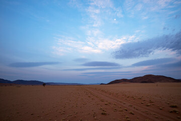 Fototapeta na wymiar Barren red sand and dead grass in the desert