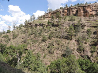Fototapeta na wymiar Trees and canyon 