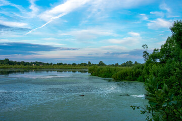 duckweed covered lake kiovo, moscow region, russia, Orthodox church on the shore overgrown with reeds at summer evening