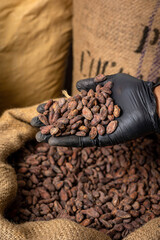 Canvas bag with Imported roasted cacao beans