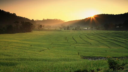 Terraced rice fields at Sunrise in Mae Klang Luang, Chiang Mai