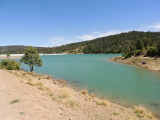 lake in the mountains in summer