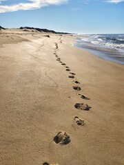 footprints on the beach