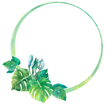 Round frame with Monstera flower and leafes