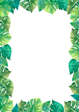 Vertical frame with monstera leaves