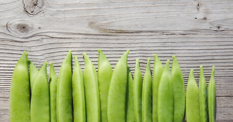Snap peas on wood background or table. Many fresh green pea pod shells just picked from garden. Pea harvest season from garden. Sugar Pea, Snap Pea or Pisum sativum var plant. Selective focus on pod. - obrazy, fototapety, plakaty