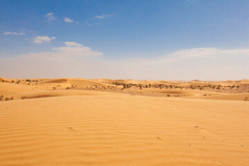 Fototapeta na wymiar Moroccan desert landscape with blue sky. view of desert dunes at sunset.