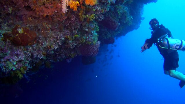 Underwater shot of sidemount diver along wall covered in various coral