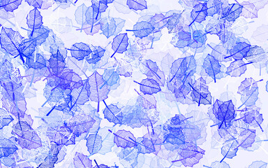 Light Blue, Green vector doodle pattern with leaves.