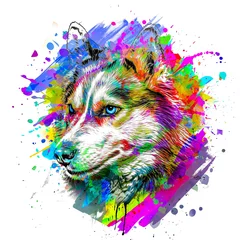 Poster Im Rahmen haski dog head with creative colorful abstract elements on white background © reznik_val
