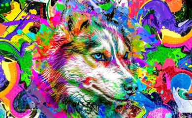 Foto auf Acrylglas haski dog head with creative colorful abstract elements on white background © reznik_val