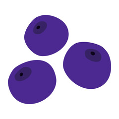Simple hand drown blueberry isolated on white background, flat doodle vector
