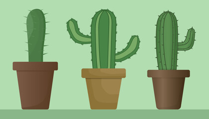 Set of domestic cacti. Green cactus in a pot. Vector