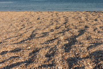 Beach sand and sea shells. Marine theme. Close-up. Small depth of field (DOF)
