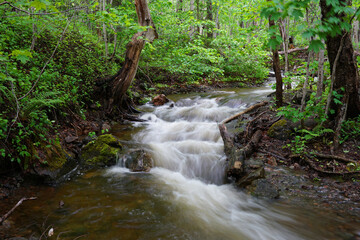 Fototapeta premium Motion-blurred stream in Cape Breton Highland National Park Canada