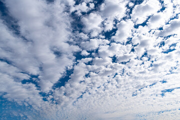 Puffy white clouds with blue sky