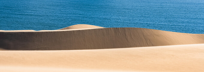 Namibia, the Namib desert, landscape of yellow dunes falling into the sea, the wind blowing on the sand

