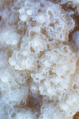 Close up salty sea shore background. Evening sun shines on salt crystals formations, clear green water near. Picture at Dead Sea beach, Israel. Texture of Dead-sea coastline. Salt crystals at sunset