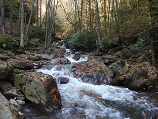 The natural beauty of Buck Mountain Creek flowing through the beautiful autumn scenery of the Lehigh Gorge State Park, in Carbon County, Weatherly, Pennsylvania.
