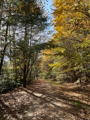 Fototapeta na wymiar Tourist enjoy hiking the Rail Trail, in the Lehigh Gorge State Park, during the fall season for the natural beauty of the autumn foliage.