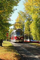 Plakat red tram in autumn in Prague