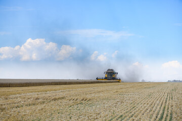 Fototapeta na wymiar Combine harvesters with grain header, wide chaff spreader reaping cereal ears.